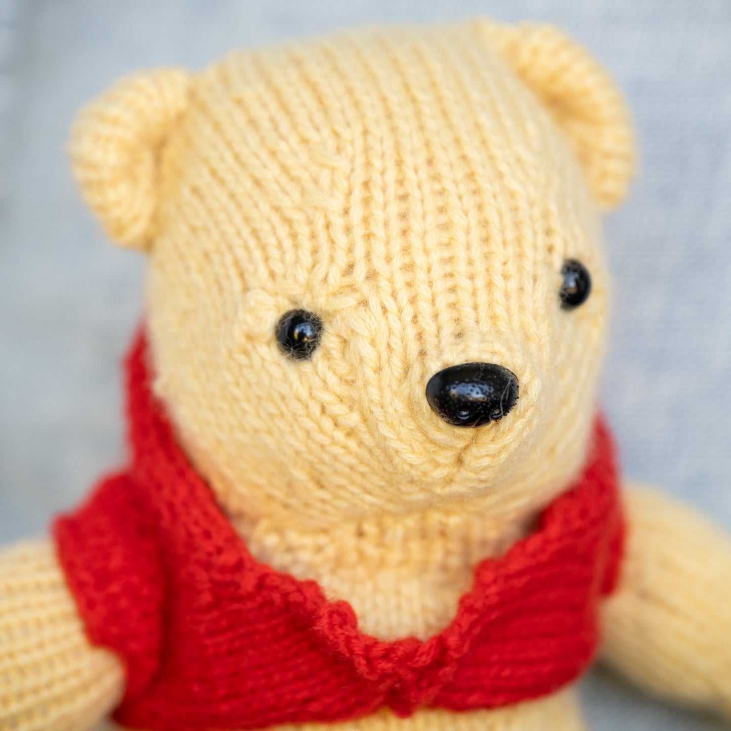 The Bear With Very Little Brain