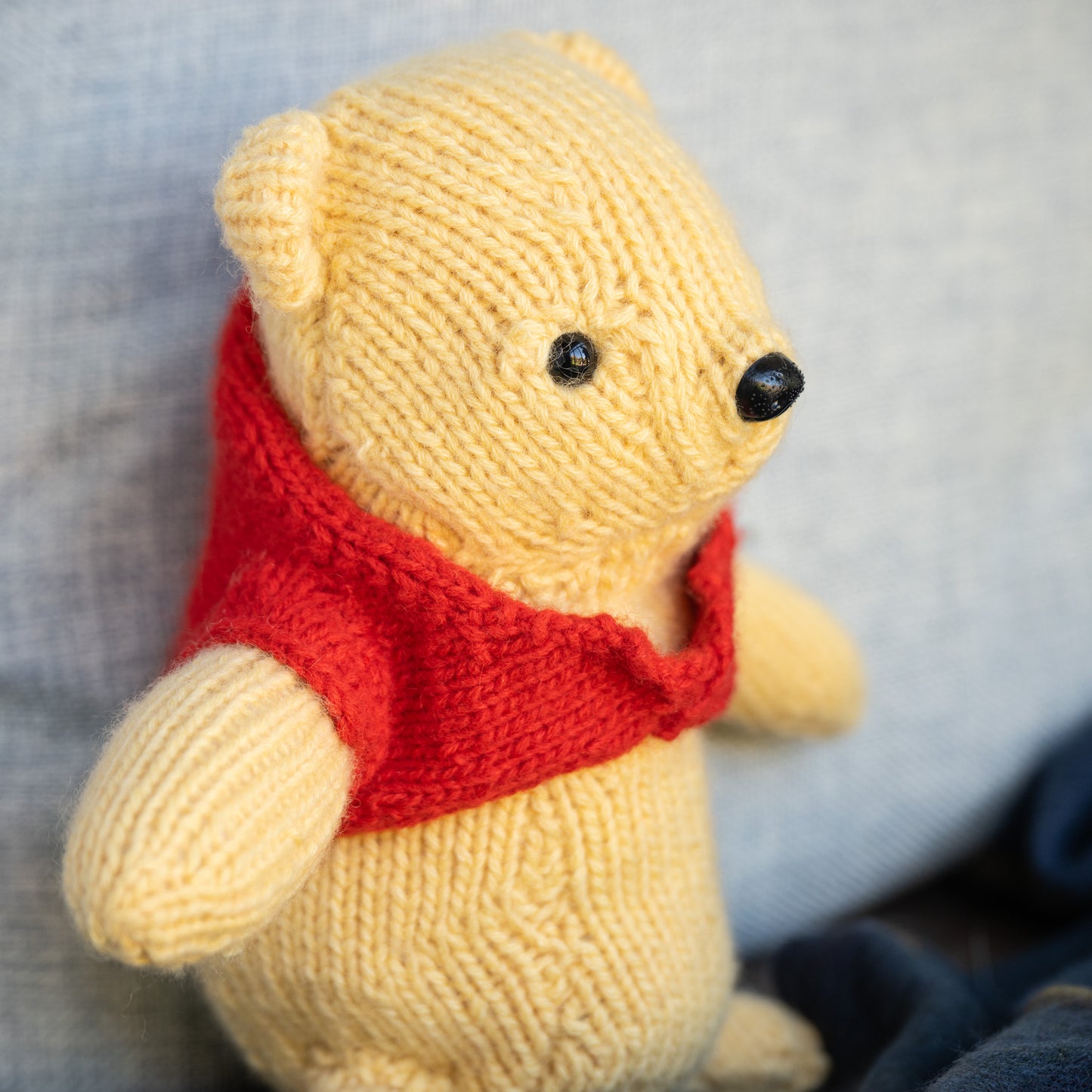The Bear With Very Little Brain