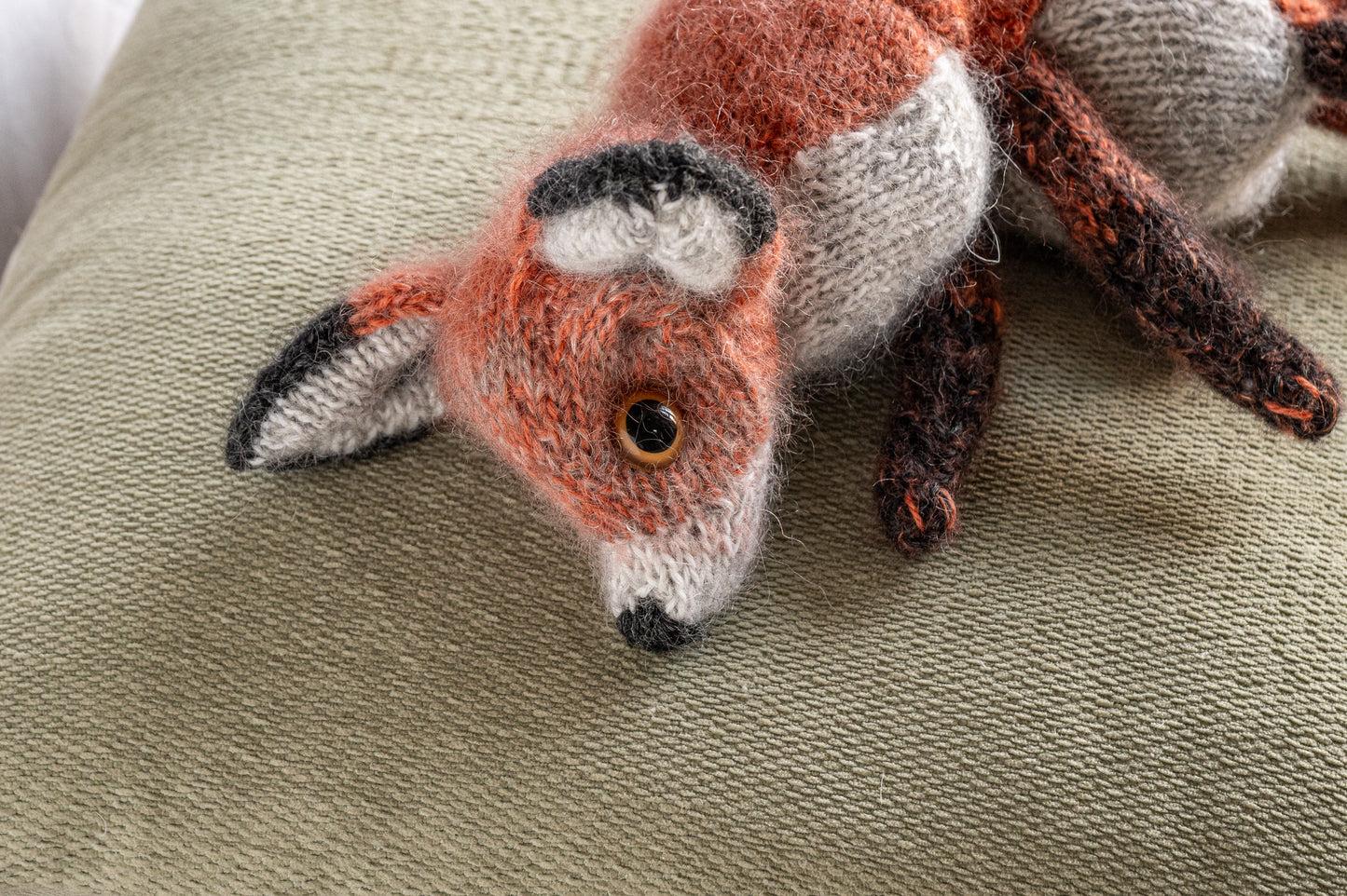 Felix The Fox - Always Watching Always Wondering