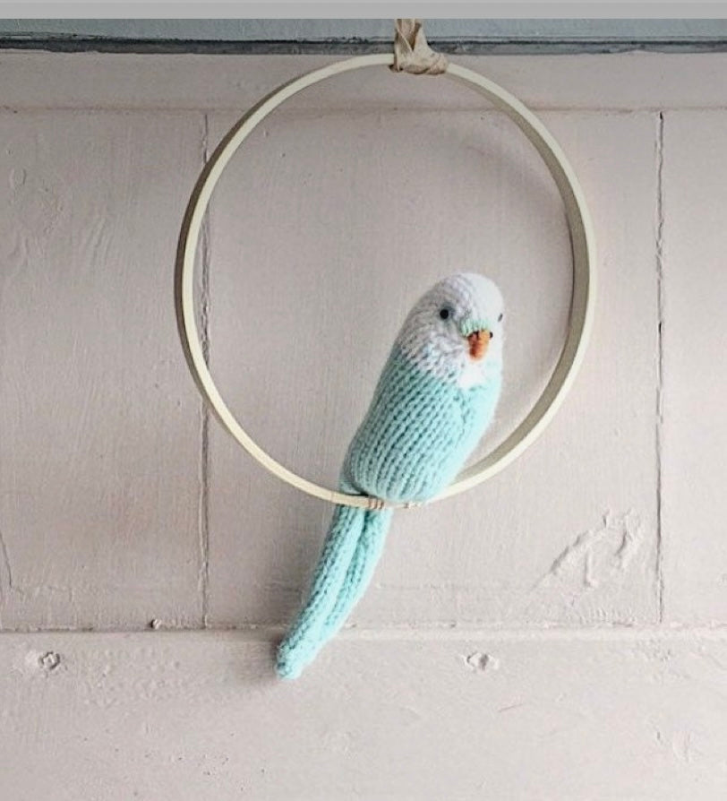 Budgie - hand knitted in Merino yarn