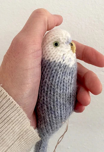 Budgie - hand knitted in Merino yarn