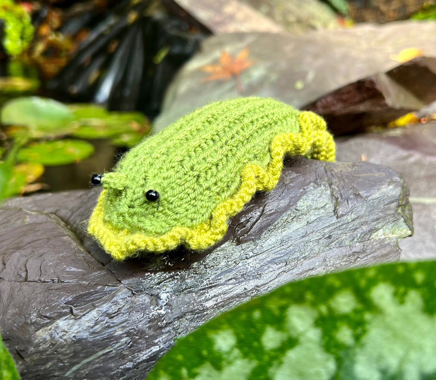 Hand knitted slug with frilly skirt and beady eyes.