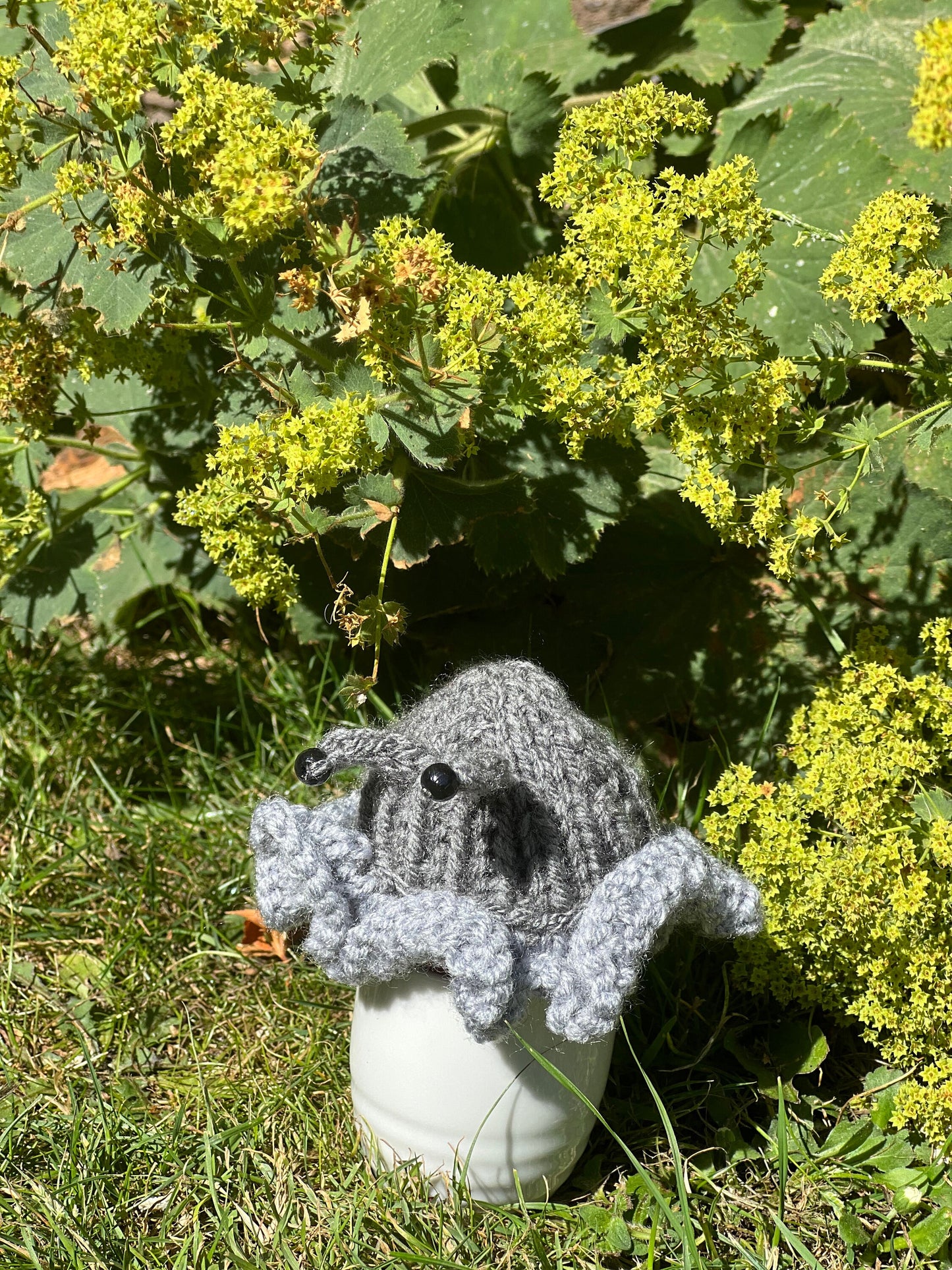 Egg cosie garden set of 4 - Slug Snail Bee and Ladybird hand knitted washable cosies
