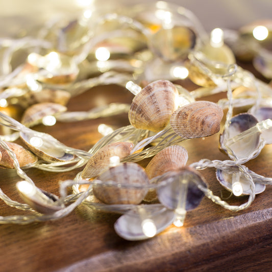 clam shall fairy light tutorial