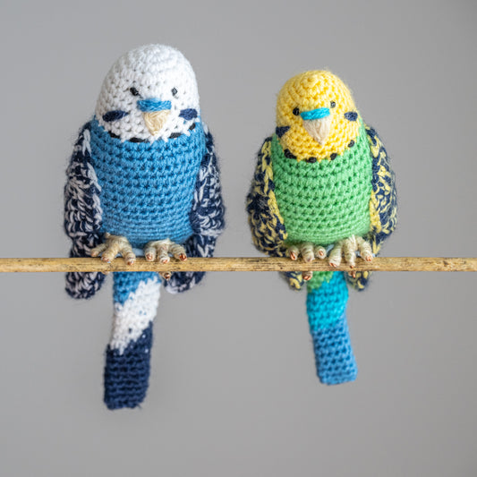 Budgie Hand-Crocheted Custom  Plush - Adorable and Personalised Pet Keepsake