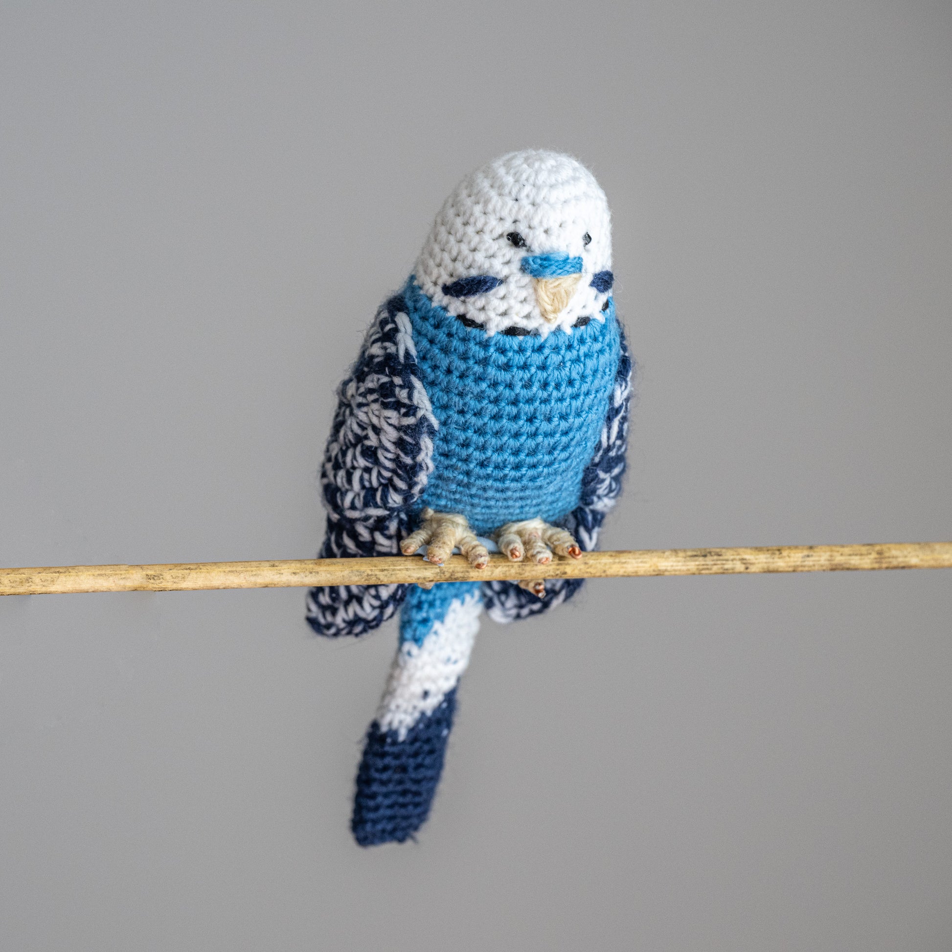 Budgie Hand-Crocheted by Ruperts House