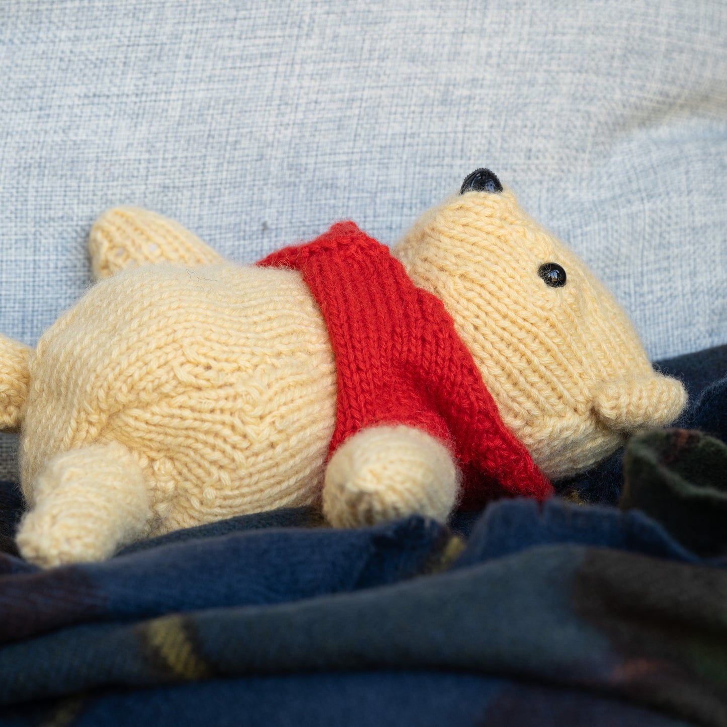 The Bear With Very Little Brain