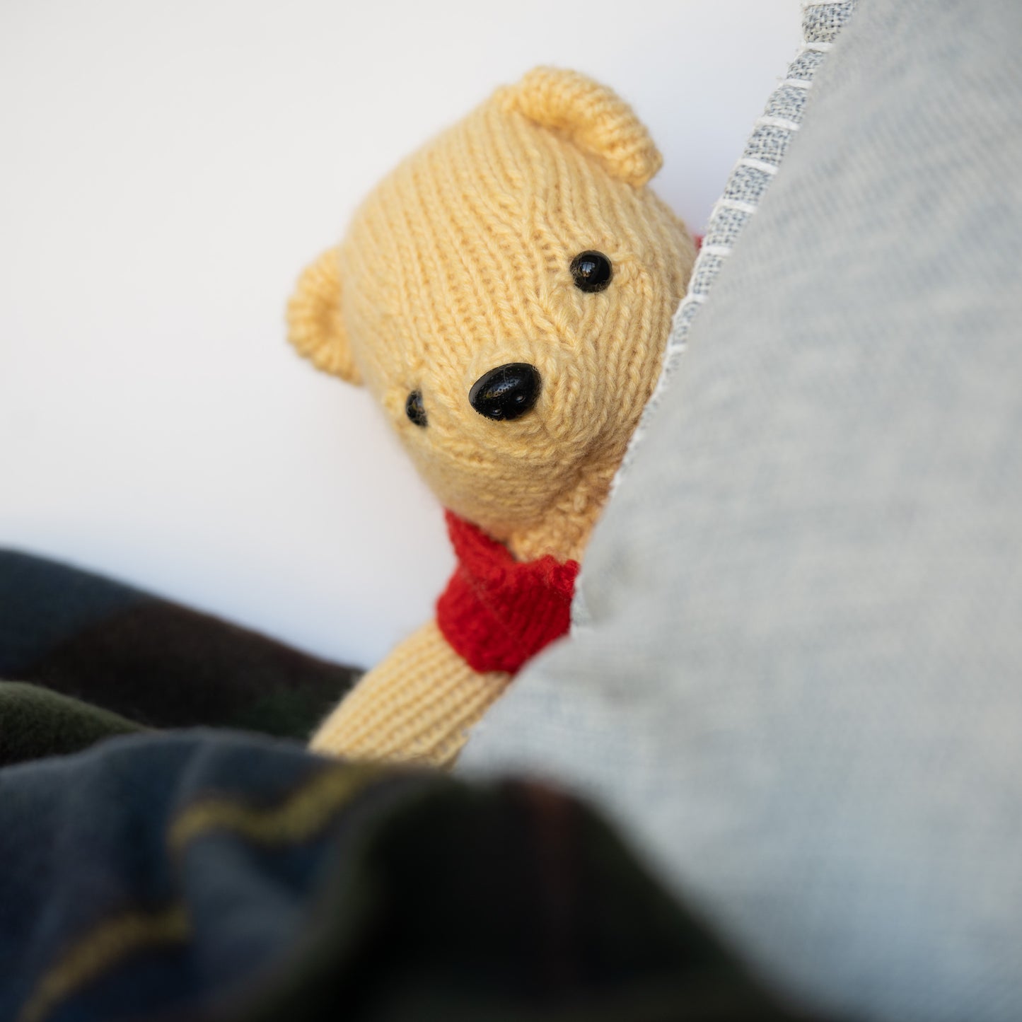 The Bear With Very Little Brain