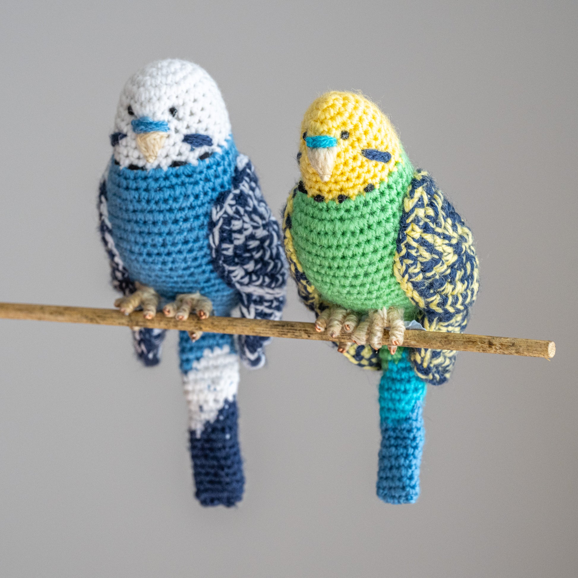 Hand made budgies