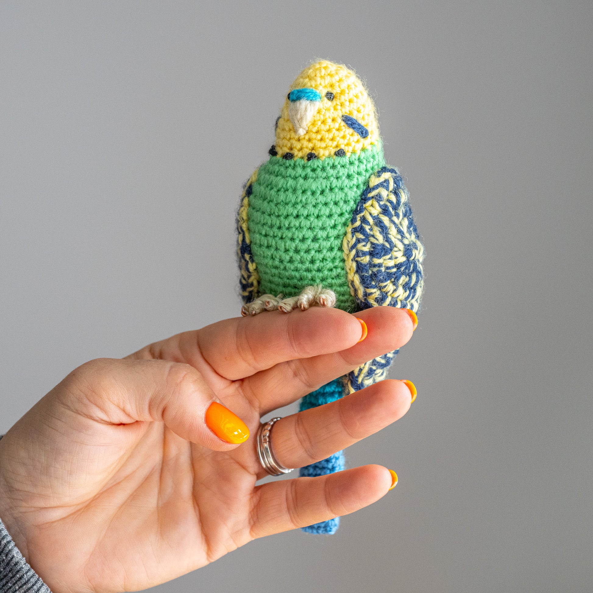 Hand made Budgie by Ruperts House