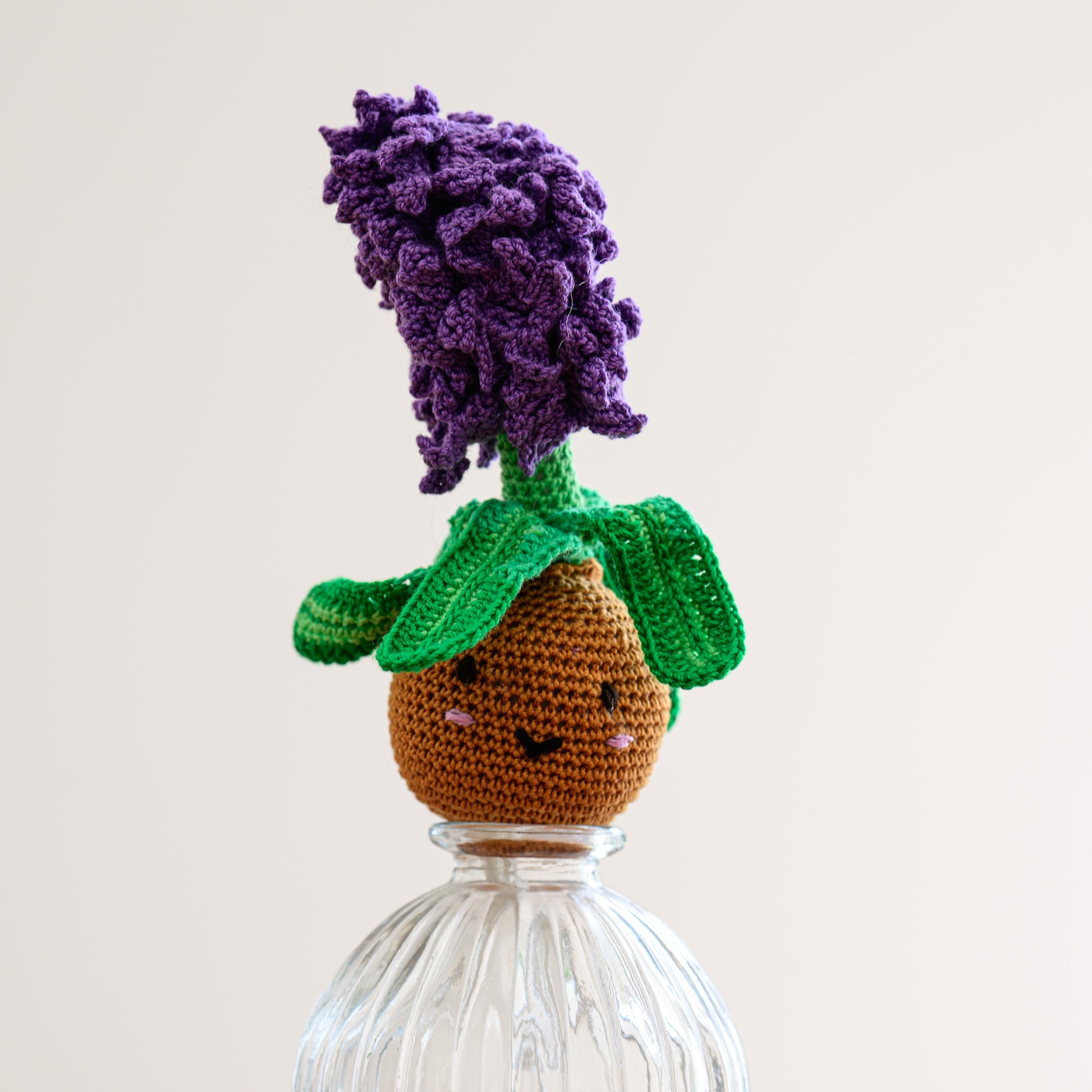 Hyacinth Spring bulb - garden lovers gift