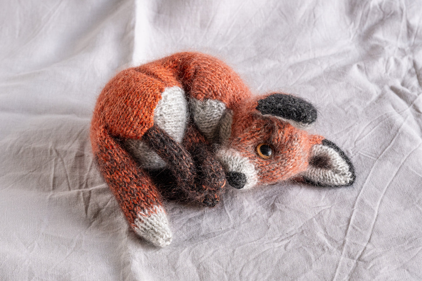 Felix The Fox - Always Watching Always Wondering