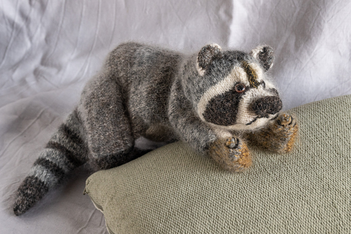 Rufus The Racoon - Quietly Up To Something