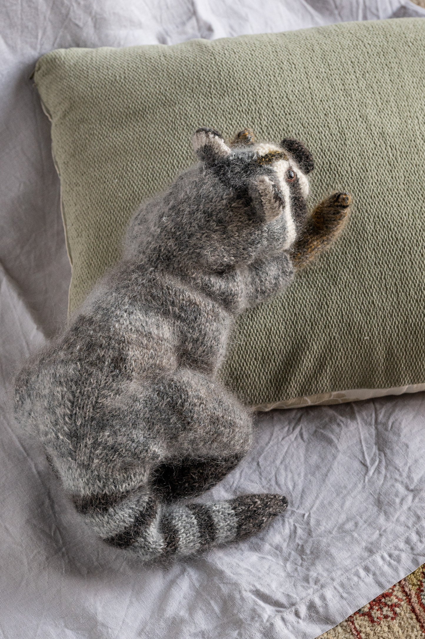 Rufus The Racoon - Quietly Up To Something