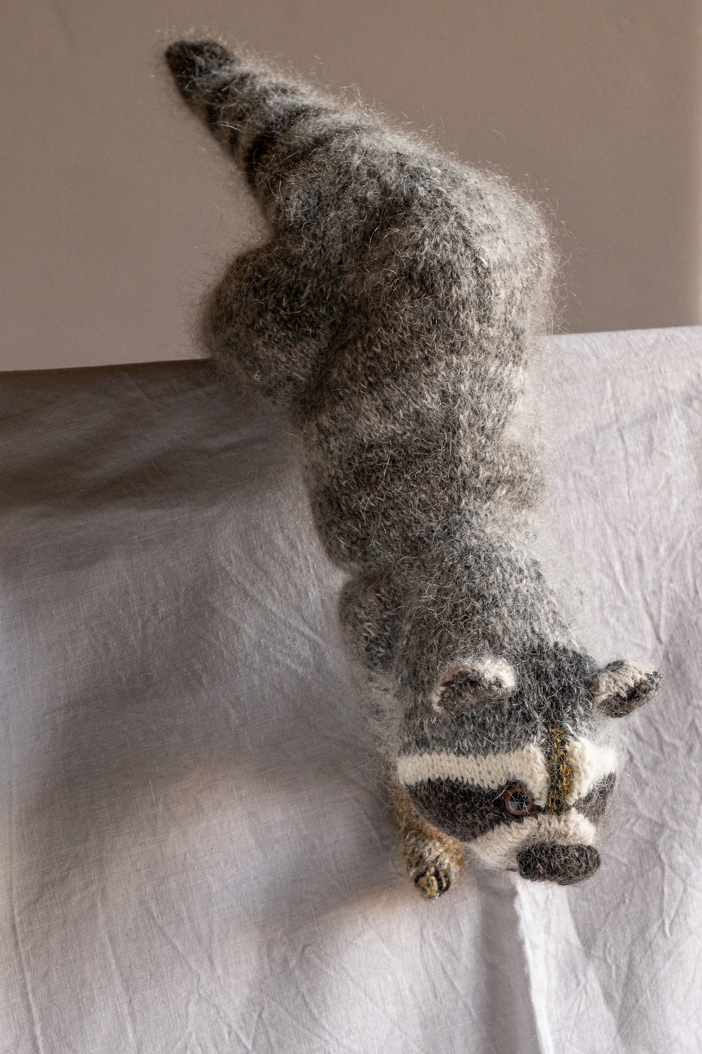 Rufus The Racoon - Quietly Up To Something