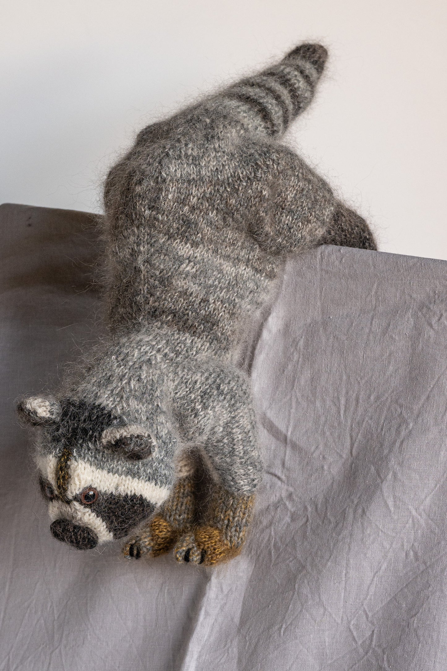 Rufus The Racoon - Quietly Up To Something