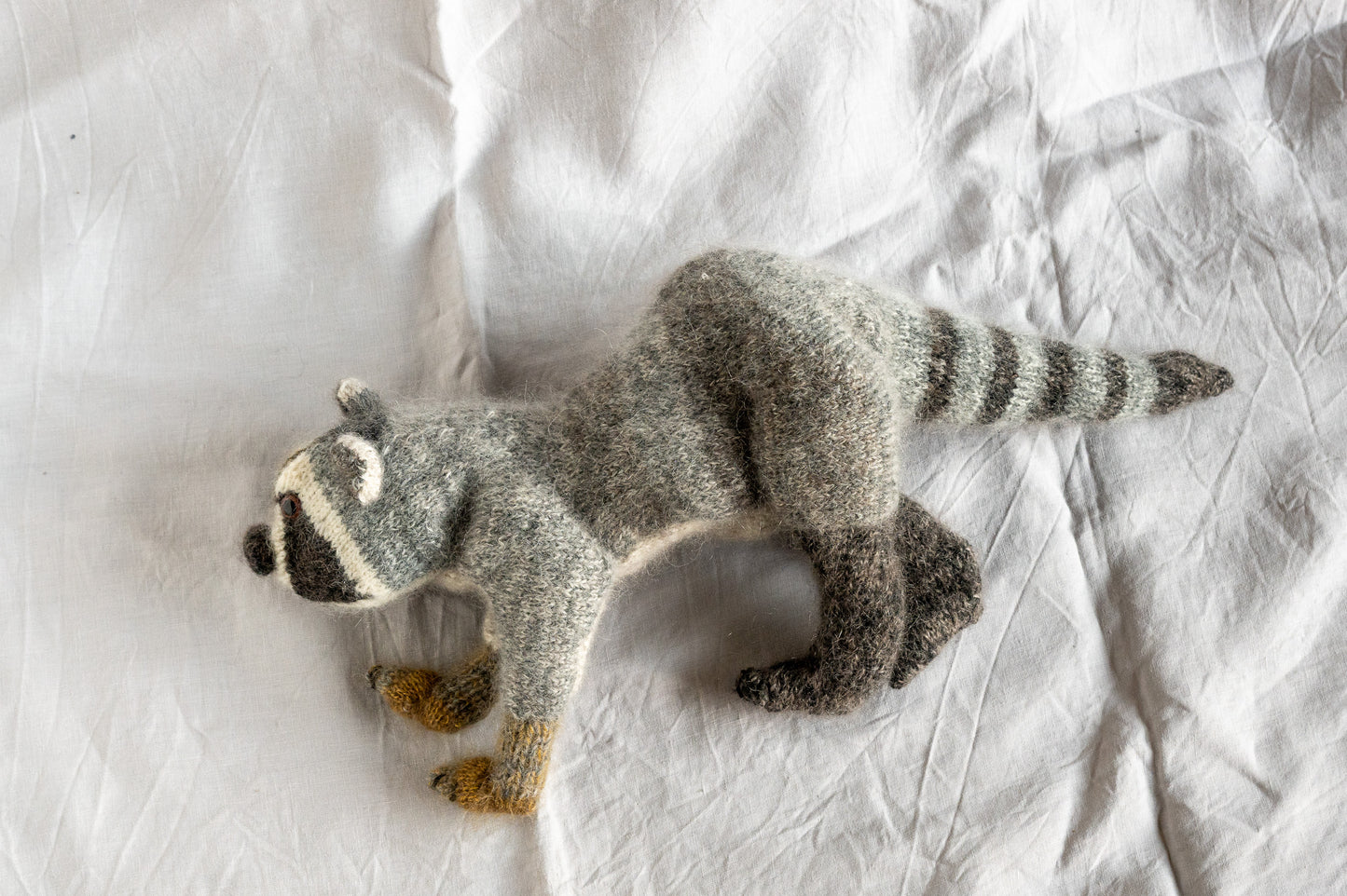 Rufus The Racoon - Quietly Up To Something