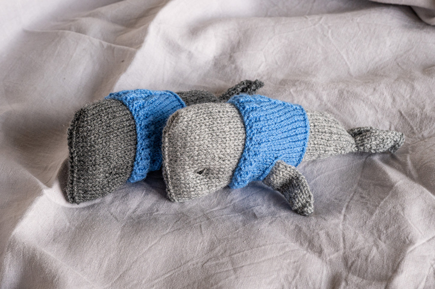 Wilbur the Whale - Big Heart and a Quiet Soul