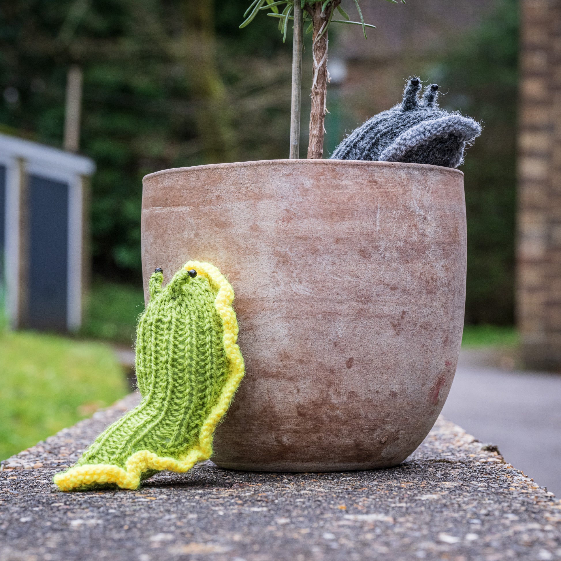 Hand knitted slug - garden lovers gift