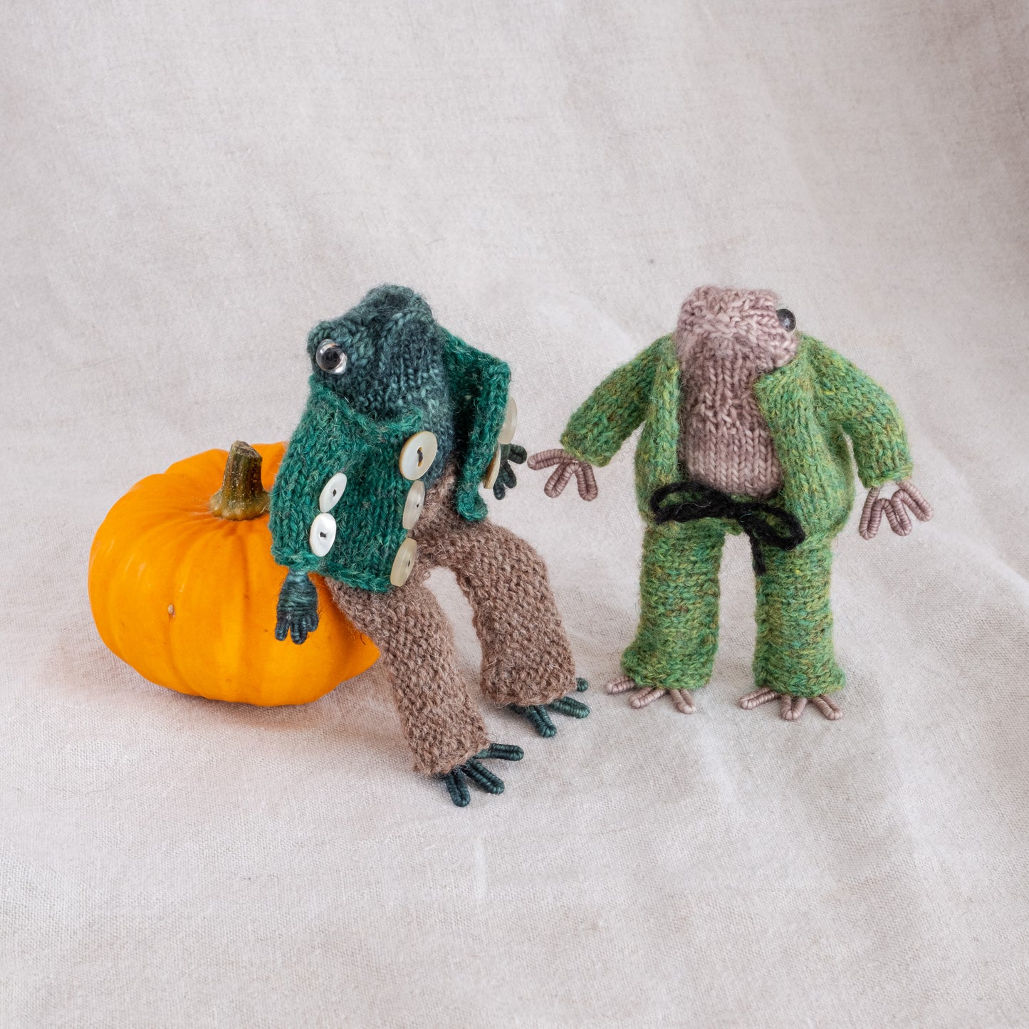 Hand-Knitted Frog and Toad Dolls - Adorable Companions for Storytime Adventures