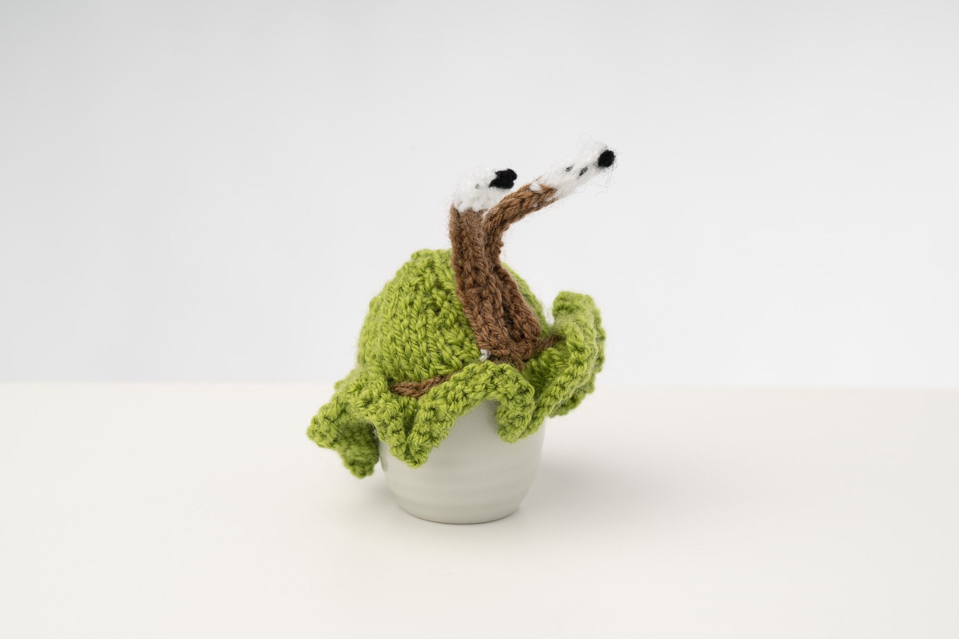 Knitted green snail egg cosy with frilly bottom. Washable fits 6 cup and 2 cup pots.